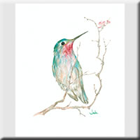 Hummingbird